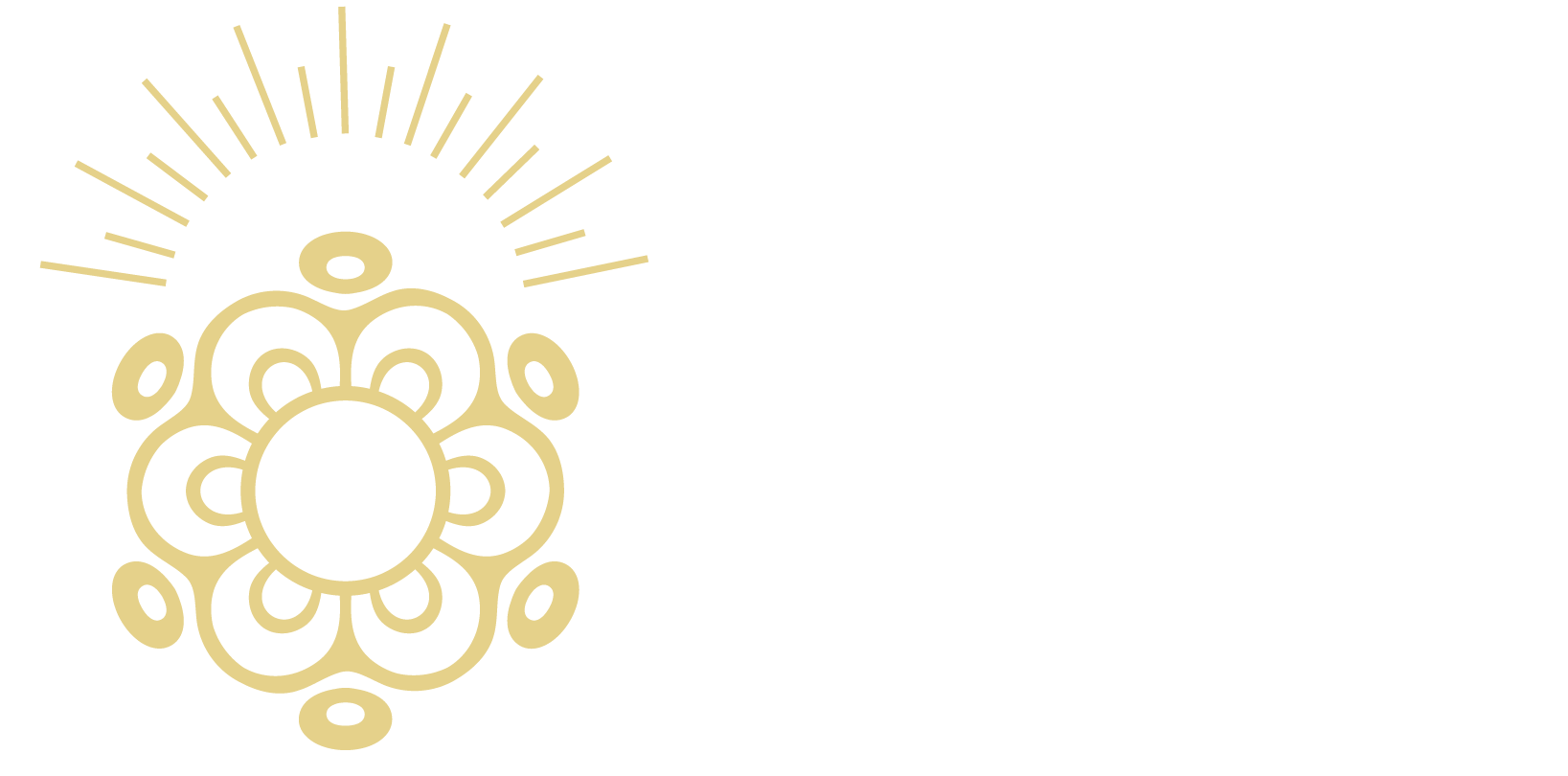 MSL Bags